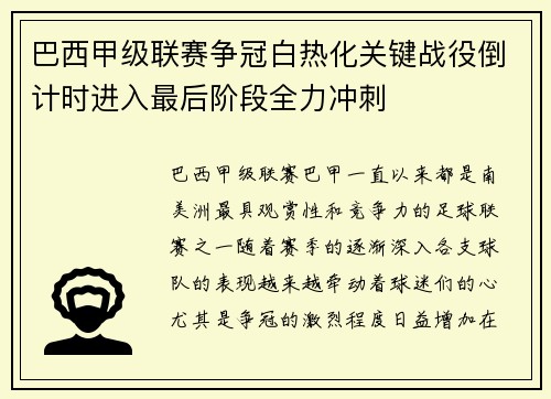 巴西甲级联赛争冠白热化关键战役倒计时进入最后阶段全力冲刺